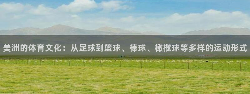 vsport体育在线官网