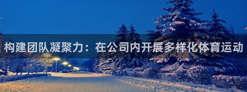 vsport体育