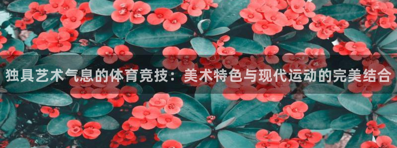 vsport体育在线官网