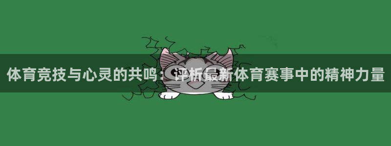 vsport体育