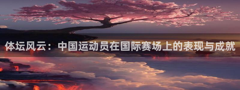 vsport体育