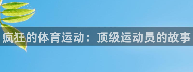 vsport体育