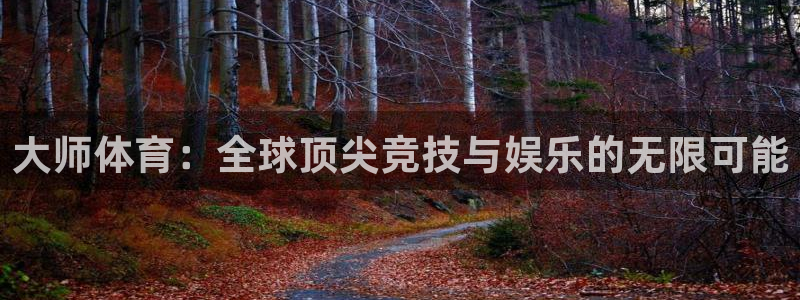 vsport体育在线官网：大师体育：全球顶尖竞技与娱乐的无限可能