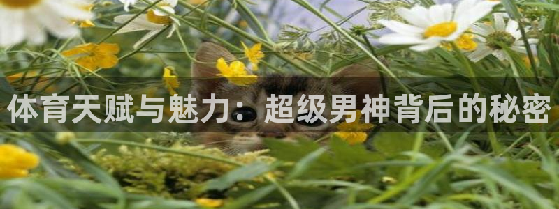 vsport体育在线官网：体育天赋与魅力：超级男神背后的秘密