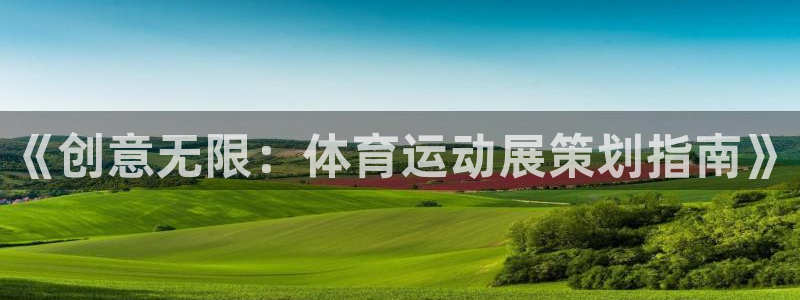 vsport体育：《创意无限：体育运动展策划指南》