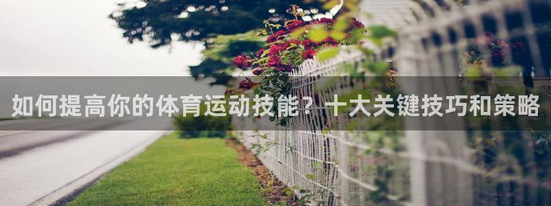 vsport体育：如何提高你的体育运动技能？十大关键技巧和策略