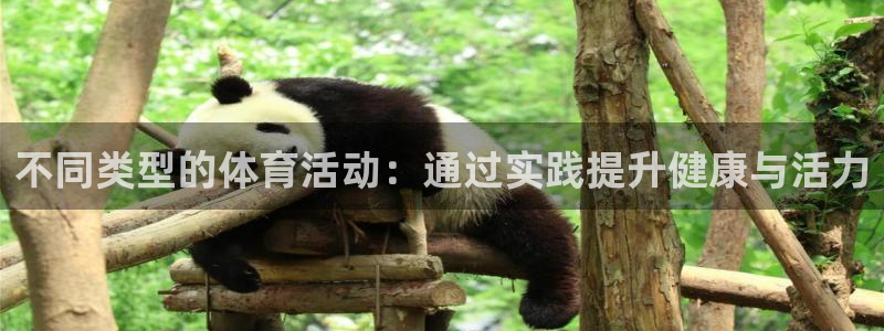 vsport体育：不同类型的体育活动：通过实践提升健康与活力